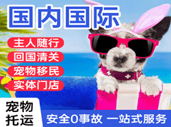 台州路桥机场空运国际宠物托运 【国